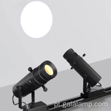 Refletor LED profissional para trilha de museu 30W